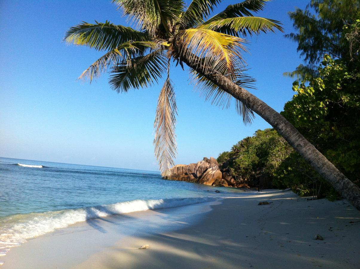 Villas Du Voyageur Grand Anse  Exterior photo